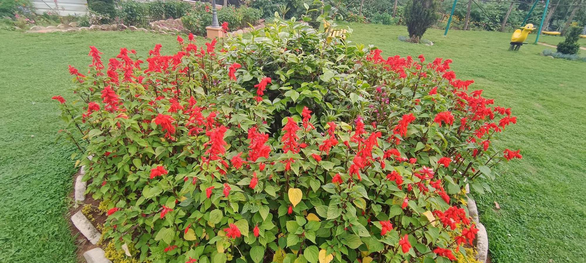 Yantra Resort By Spree Ooty Dış mekan fotoğraf